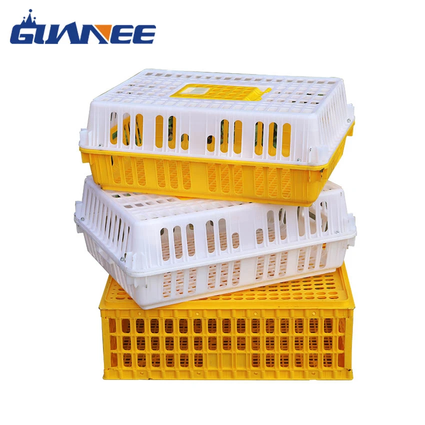 product-850-850