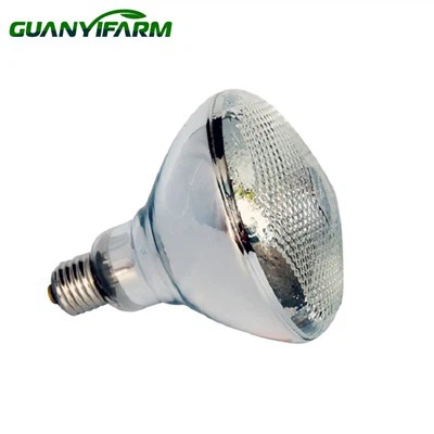 Lanp Chalè Pou Kochon