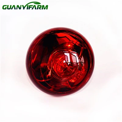 Anpoul Enfrawouj Pou Chik